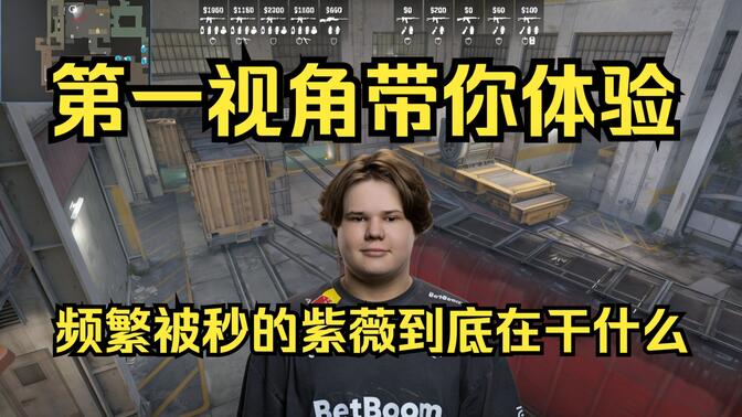 评估绝张实
